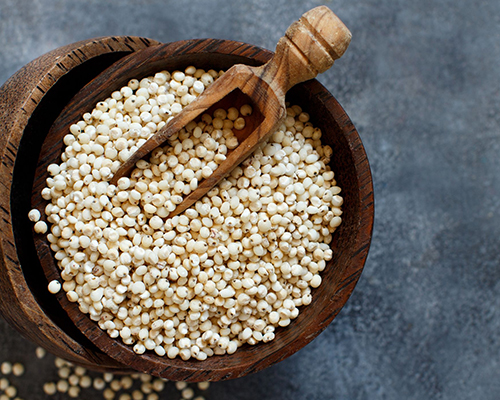 Sorghum - Sovia Exporters